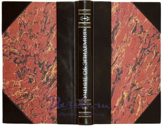 Учение об эпидемиях. Готштейн А., Добрейцер И. Антикварная книга 1933 год. 