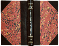 Учение об эпидемиях. Готштейн А., Добрейцер И. Антикварная книга 1933 год. 