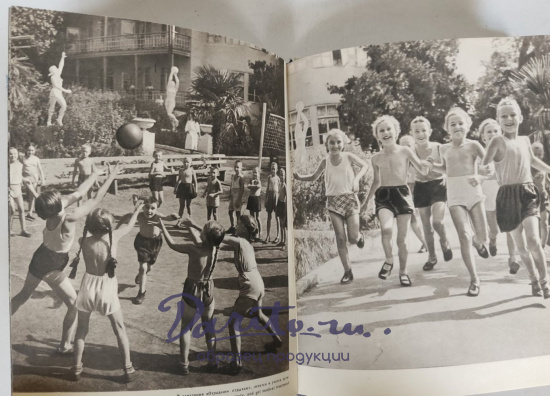 Сочи.Букинистический альбом1959 г.