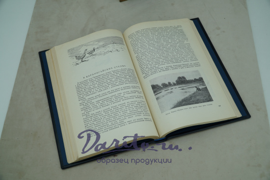 Очерки охотника-натуралиста. Туров С. С. Антикварная книга - 1952 г.