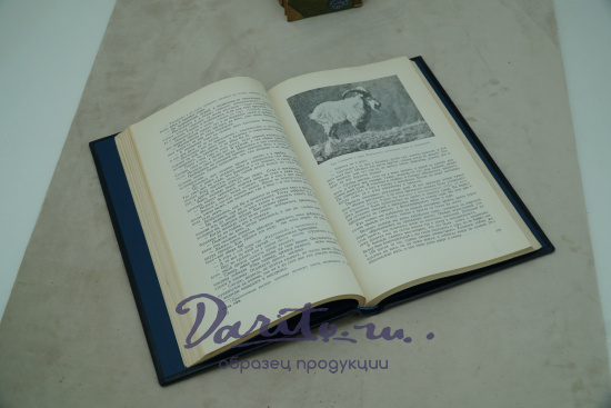 Очерки охотника-натуралиста. Туров С. С. Антикварная книга - 1952 г.