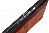 Гамалея Н.Ф. Основы иммунологии. Учение о невосприимчивости и о вакцинации. Антикварная книга 1928 год.