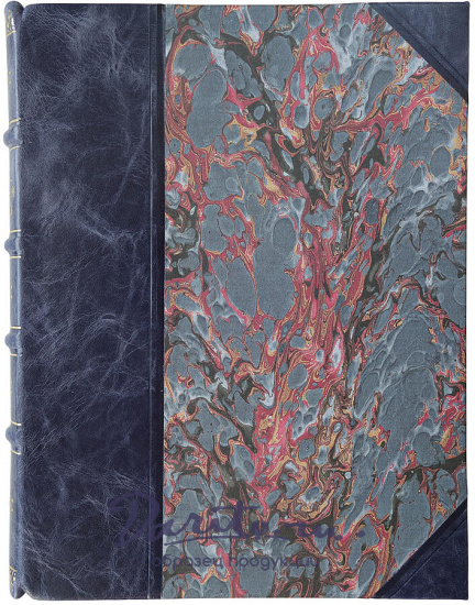 Лукомский Г.К. Современный Петроград (Антикварная книга 1916г.)