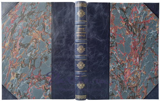 Лукомский Г.К. Современный Петроград (Антикварная книга 1916г.)