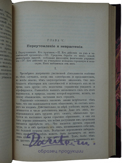 Том Ф. Воспитание чувств (Антикварная книга 1900г.)