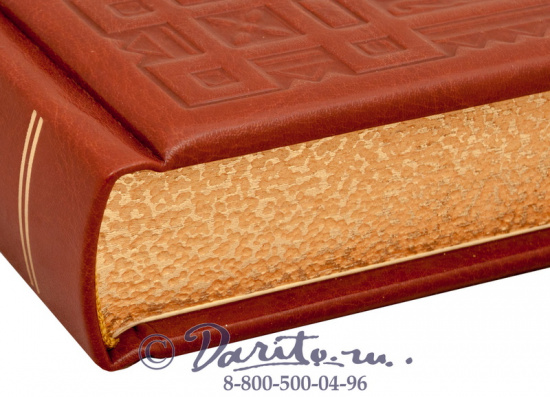 Книга «Евангельская история»