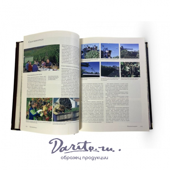 Вино.Самая полная иллюстрированная энциклопедия. Доминэ Андрэ (в коробе)