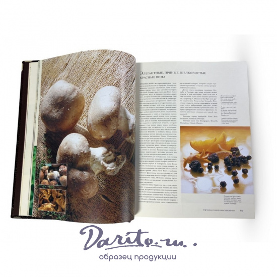 Вино.Самая полная иллюстрированная энциклопедия. Доминэ Андрэ (в коробе)