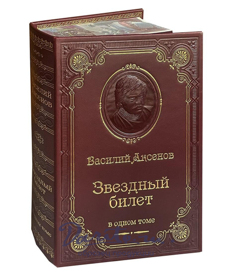 Книга В.П.Аксенова «Звездный билет»