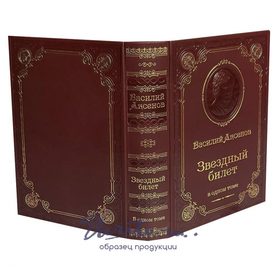 Книга В.П.Аксенова «Звездный билет»