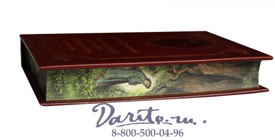 Данте А., Книга А.Данте «Божественная комедия, Новая жизнь»