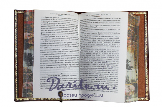 Книга Ф.М.Достоевского «Братья Карамазовы»