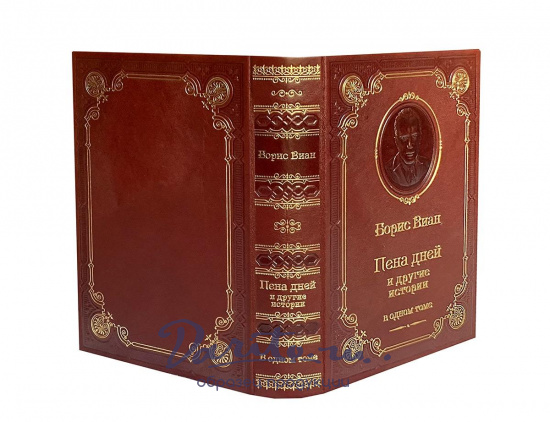 Книга Б.Виан «Пена дней и другие истории»