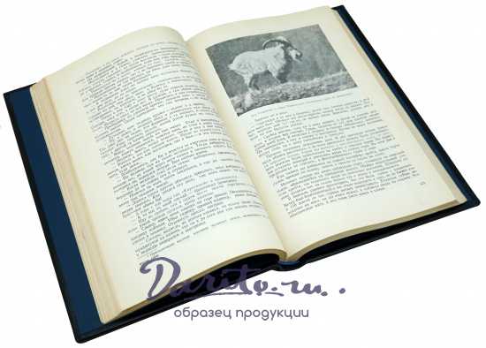 Очерки охотника-натуралиста. Туров С. С. Антикварная книга - 1952 г.