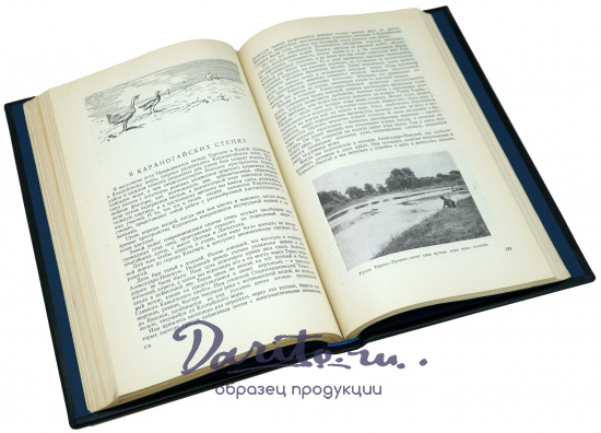 Очерки охотника-натуралиста. Туров С. С. Антикварная книга - 1952 г.