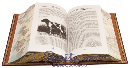 Сабанеев Л. П. , Книга «Все об охоте»