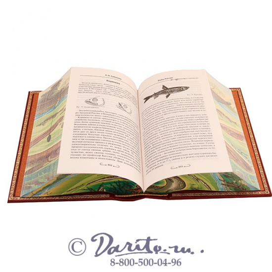 Сабанеев Л. П. , Книга Л. П. Сабанеева «Все о рыбалке»