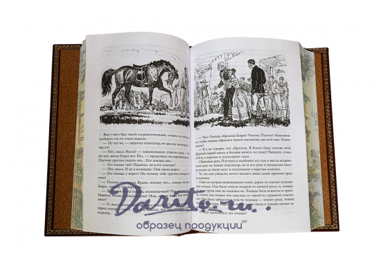 Книга «Всадник без головы. Морской волчонок»