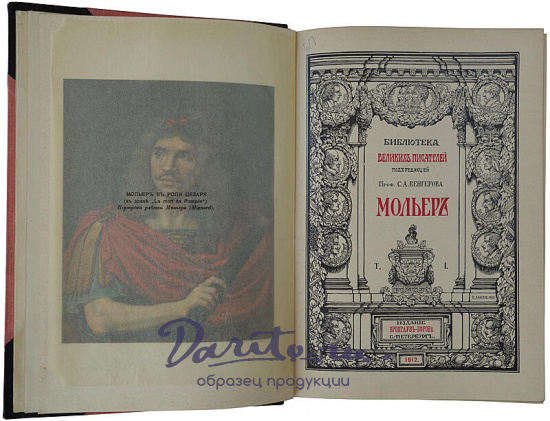 Библиотека великих писателей. В 20 томах (Антикварное издание 1901-1915г.)