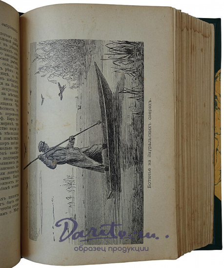 Антикварное издание «Рыбы России. Жизнь и ловля (ужение) наших пресноводных рыб»
