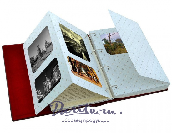 Родословная книга «Древо»