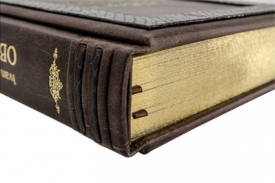 Книга «Oblomov/ Обломов»