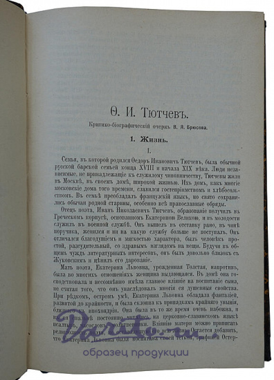 Тютчев Ф.И.Полное собрание сочинений (Антикварное издаие 1913 г., старинный полукожаный переплёт)