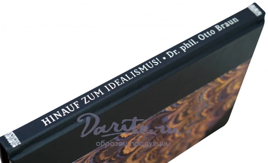 Доктор Фил. ОТТО Браун «Переход к идеализму»