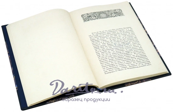 Доктор Фил. ОТТО Браун «Переход к идеализму»