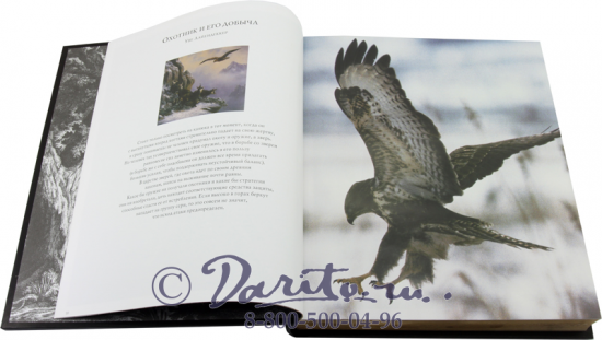 Книга «Охота»