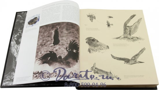 Книга «Охота»