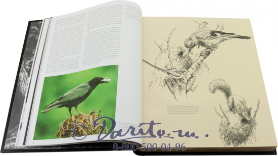 Книга «Охота»