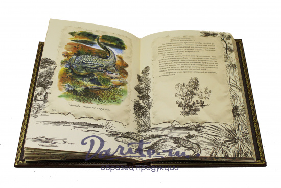 Книга в подарок «Роскошь зрелого возраста»