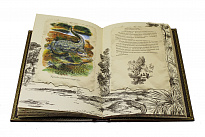 Книга в подарок «Роскошь зрелого возраста»