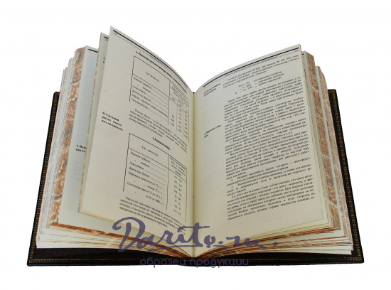 Репринтное издание «Электрификация СССР»