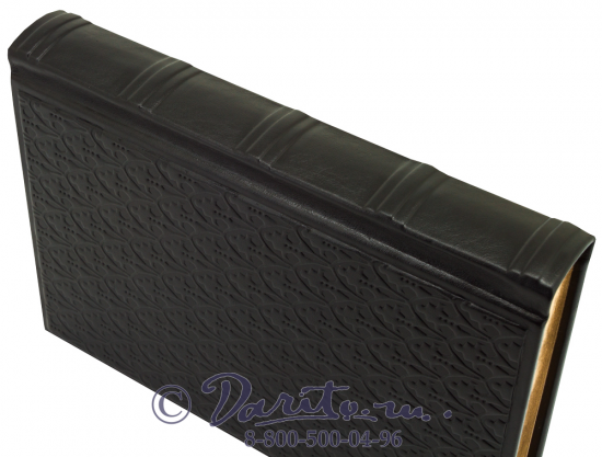 Гумилев Л. Н., Подарочная книга «История России»