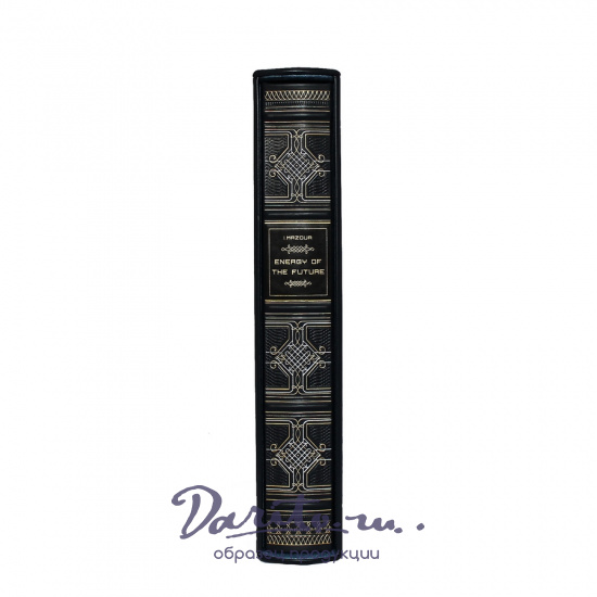 Книга на английском языке «Энергия будущего»