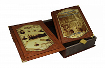 Репринтное издание «Исторический очерк развития железных дорог в России»