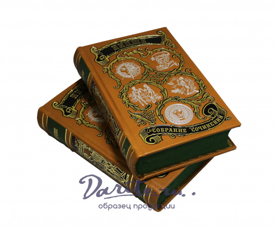 Собрание сочинений Ф. Ницше в двух томах в кожаном переплете с тиснением