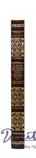 Подарочная книга «Футбол. Правила, история, тренировка, тактика, игра»
