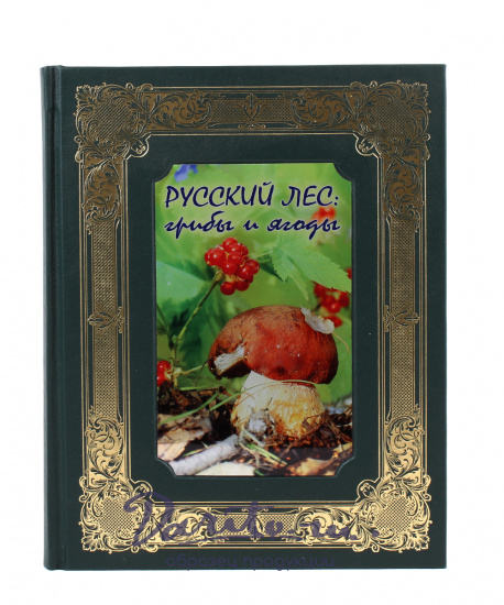 Книга в подарок «Русский лес. Грибы и ягоды»