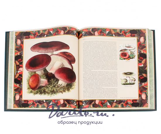 Книга в подарок «Русский лес. Грибы и ягоды»