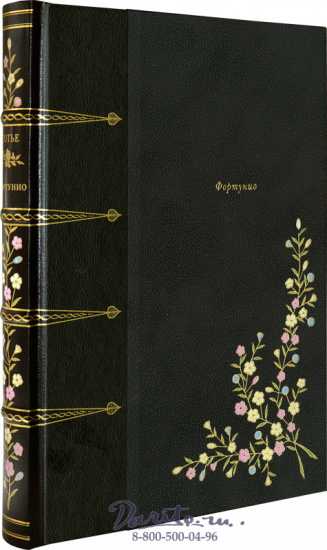 Готье Т., Книга «Фортунио»