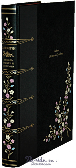 Лафонтен Жан де , Книга «Любовь Психеи и Купидона»