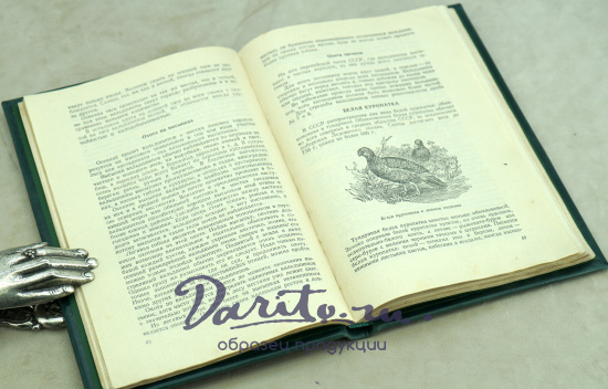 Ружейно-спортивная охота. Г.Е.Рахманин_Издание 1950 г.