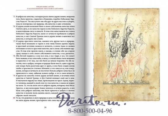 Книга «Аврора или Утренняя заря в восхождении»