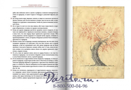 Книга «Аврора или Утренняя заря в восхождении»