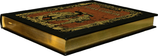 Твен Марк , Книга «Приключения Тома Сойера»