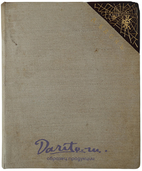 Блок А.А. Стихи о Прекрасной даме (Антикварная книга 1905г., первая книга поэта)