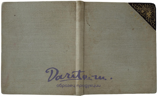 Блок А.А. Стихи о Прекрасной даме (Антикварная книга 1905г., первая книга поэта)